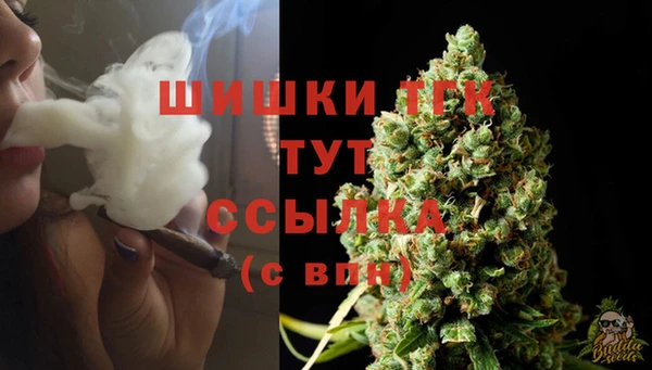 стафф Баксан